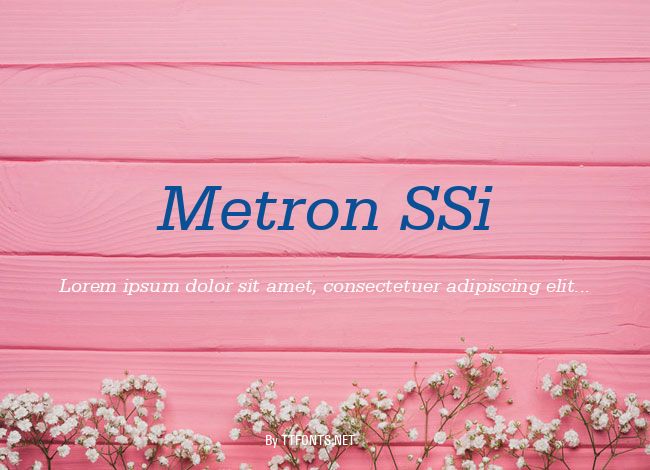 Metron SSi example